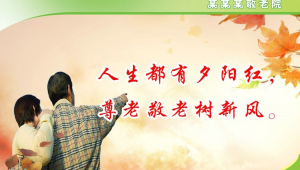 敬老活动宣传标语
